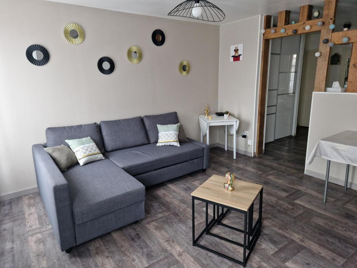 Joli Appartement T2 Agglo Troyes Sainte-Savine エクステリア 写真
